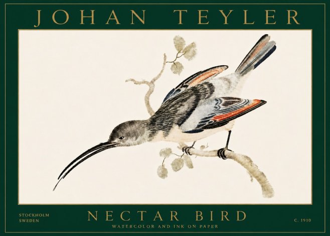 Johan Teyler Nectar Bird No5 - Juliste
