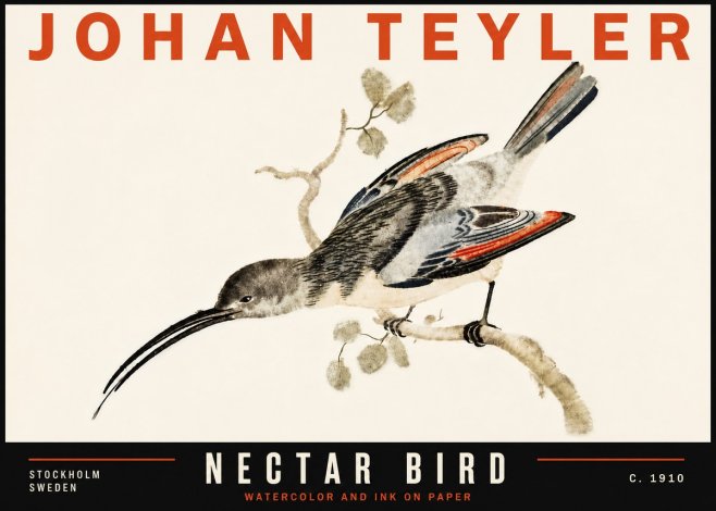 Johan Teyler Nectar Bird No6 - Juliste