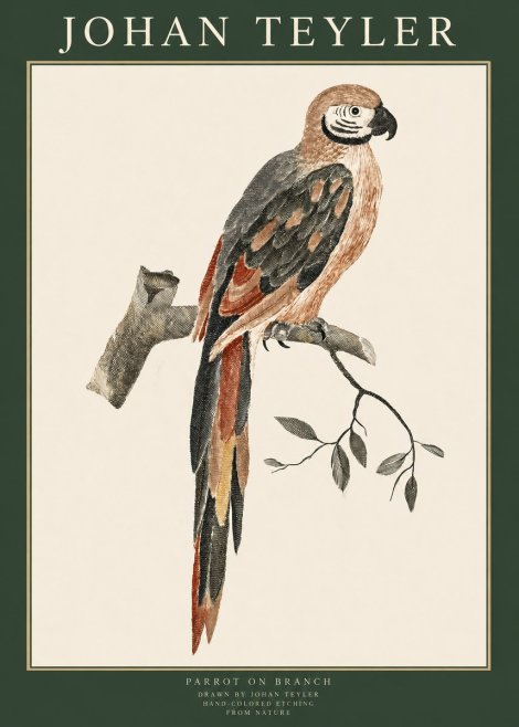 Johan Teyler Parrot on Branch No1 - Juliste