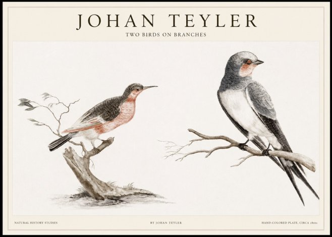 Johan Teyler Two Birds on Branches No1 - Juliste