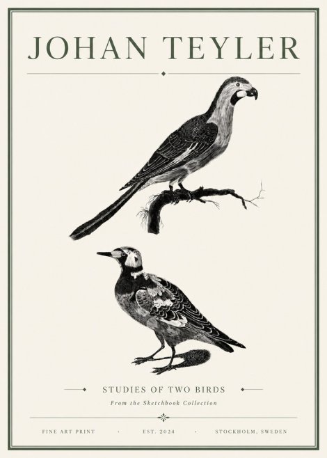 Johan Teyler Birds - Study of Two Species No6 - Juliste