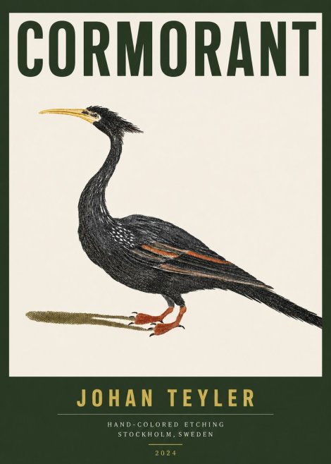 Johan Teyler Cormorant No3 - Juliste