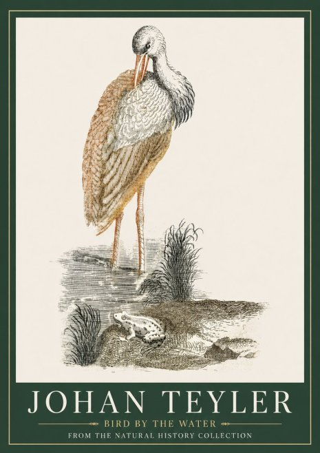 Johan Teyler Bird by the Water No3 - Juliste