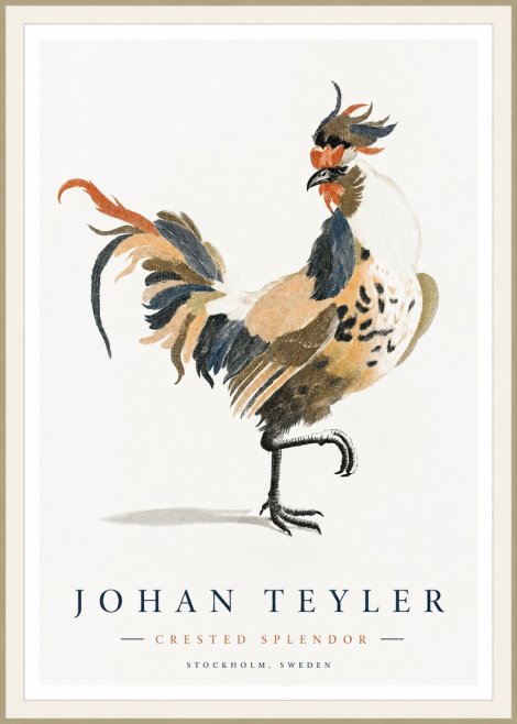 Johan Teyler Crested Splendor No1 - Juliste