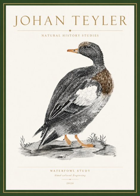 Johan Teyler Waterfowl Study No3 - Juliste