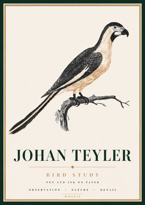 Johan Teyler Bird Study I No6 - Juliste