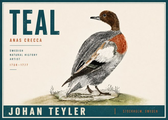 Johan Teyler Teal No5 - Juliste