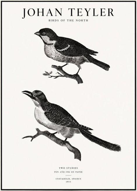 Johan Teyler Two Studies No1 - Juliste