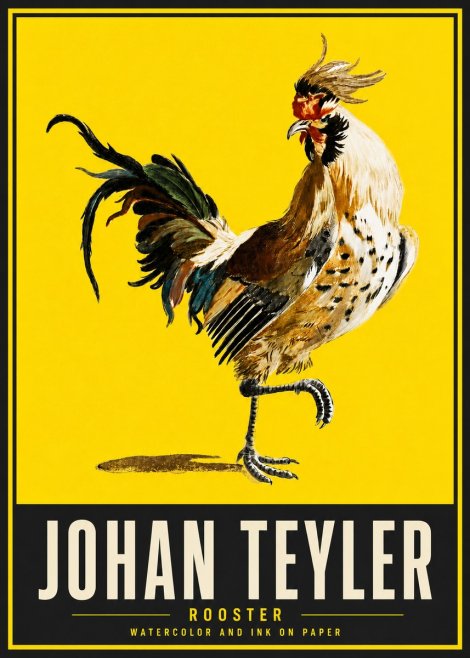 Johan Teyler Rooster No5 - Juliste