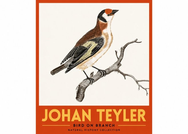 Johan Teyler Song of the Finch No3 - Juliste