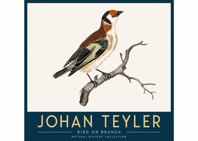 Johan Teyler Song of the Finch No4 - Juliste