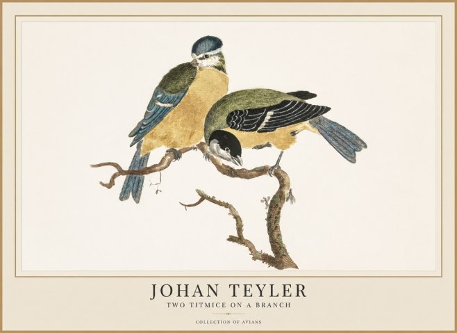 Johan Teyler Two Titmice on a Branch No1 - Juliste