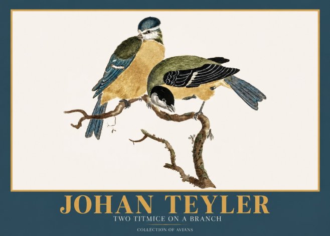 Johan Teyler Two Titmice on a Branch No2 - Juliste