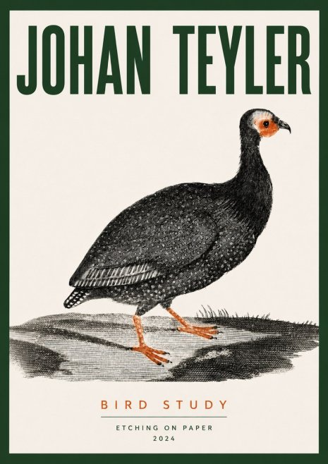Johan Teyler Bird Study III No3 - Juliste