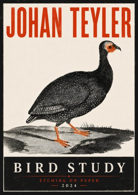 Johan Teyler Bird Study III No6 - Juliste