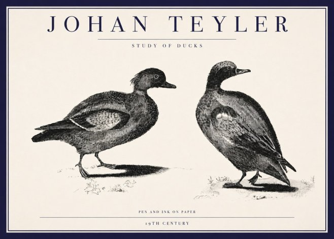 Johan Teyler Study of Ducks No3 - Juliste