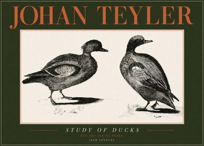 Johan Teyler Study of Ducks No4 - Juliste