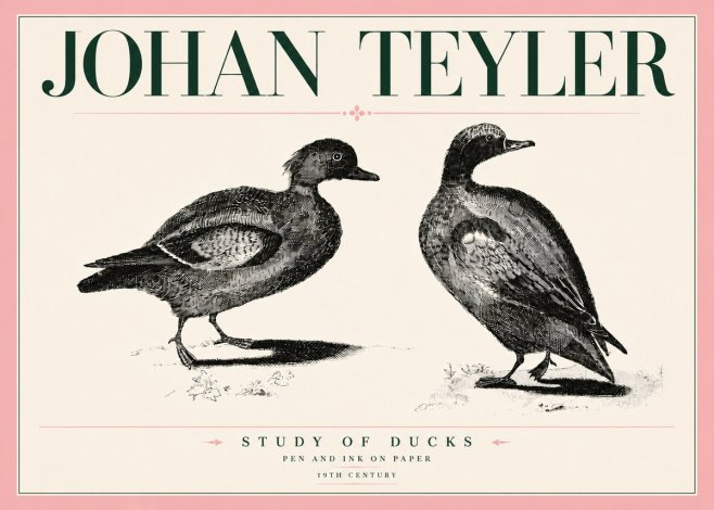 Johan Teyler Study of Ducks No5 - Juliste
