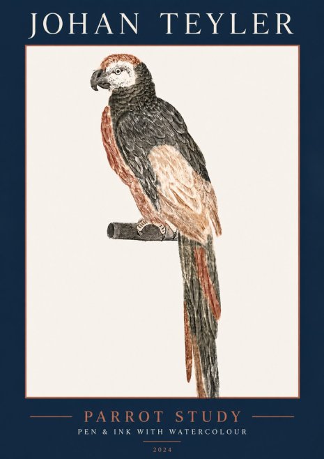 Johan Teyler Parrot Study II No5 - Juliste