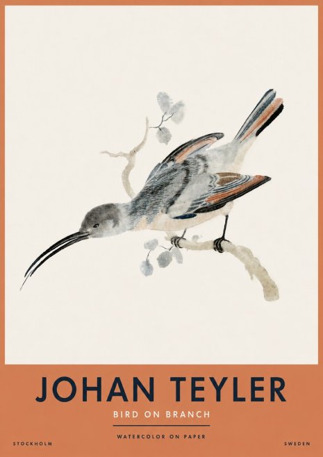 Johan Teyler Bird on Branch I No4 - Juliste