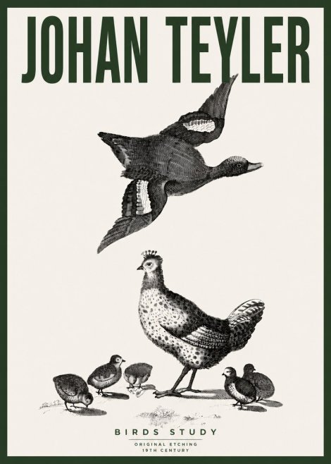 Johan Teyler Birds Study No4 - Juliste