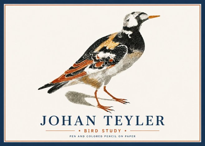 Johan Teyler Bird Study IV No6 - Juliste