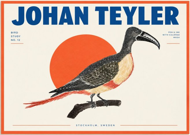 Johan Teyler Bird Study No. 12 - Original Drawing No2 - Juliste