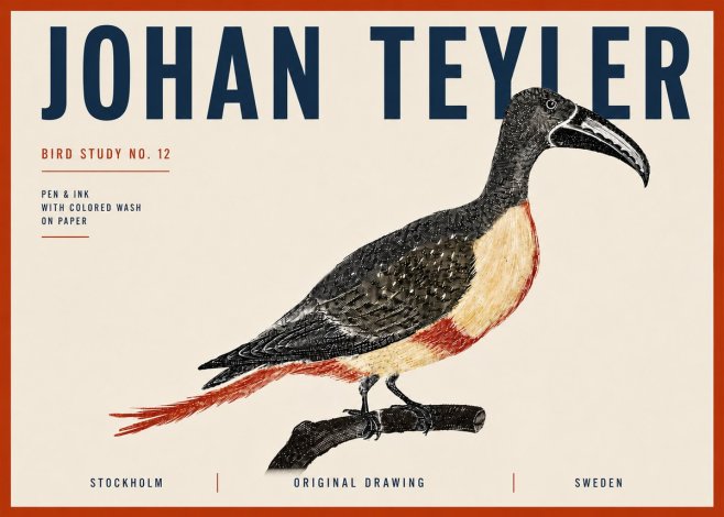 Johan Teyler Bird Study No. 12 - Original Drawing No6 - Juliste