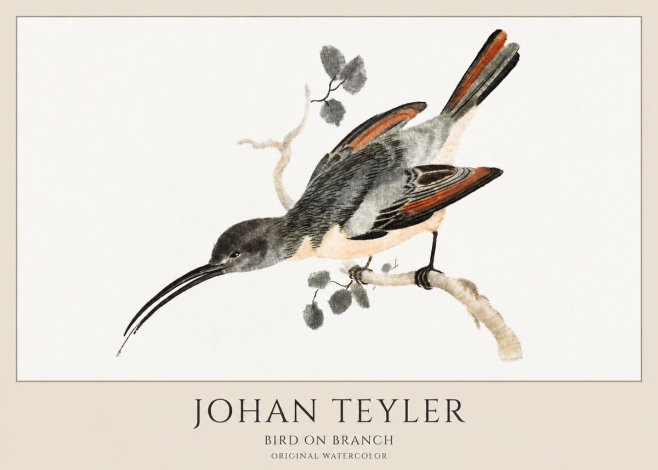 Johan Teyler Bird on Branch II No1 - Juliste