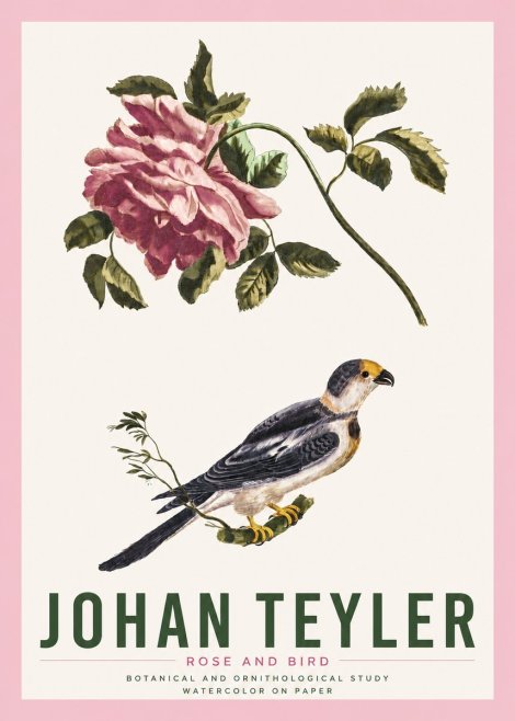 Johan Teyler Rose and Bird I No4 - Juliste