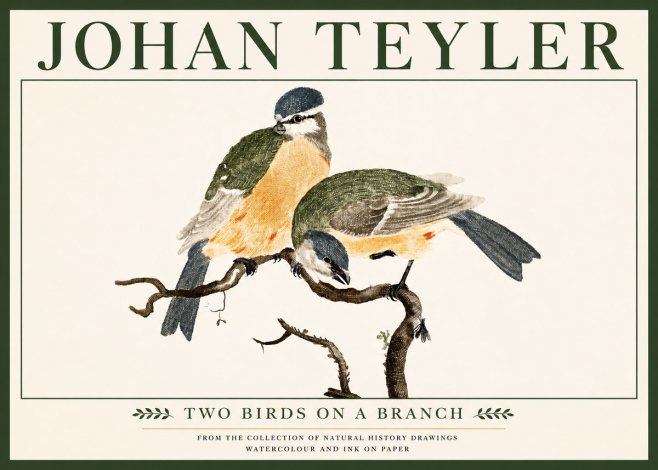 Johan Teyler Two Birds on a Branch No5 - Juliste