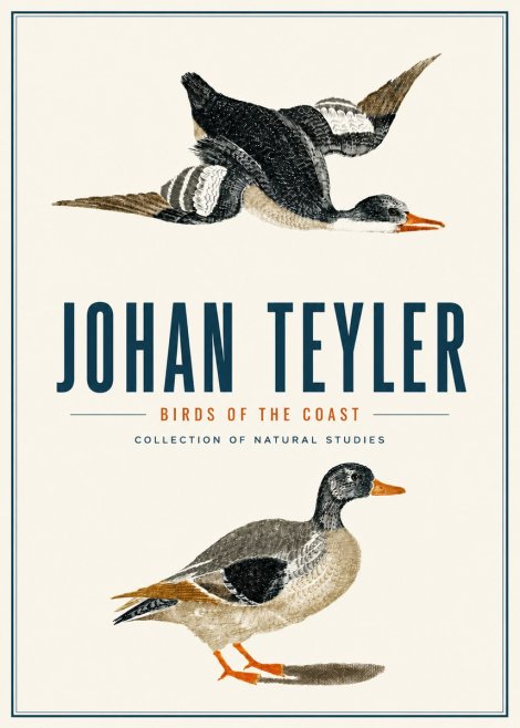 Johan Teyler Birds of the Coast No4 - Juliste