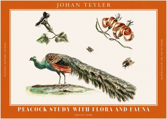 Johan Teyler Peacock Study with Flora and Fauna No2 - Juliste