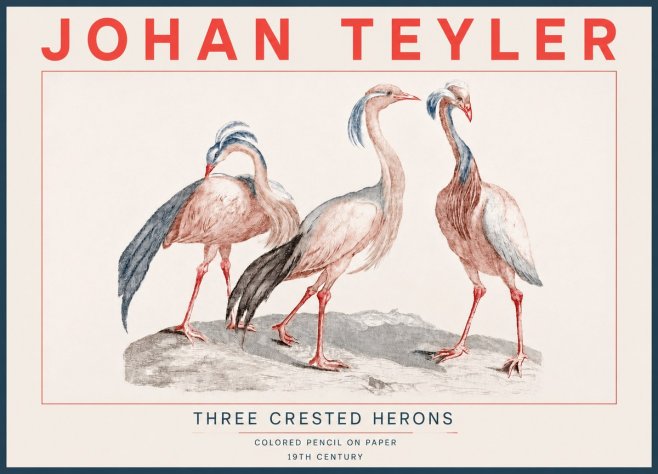 Johan Teyler Three Crested Herons No4 - Juliste