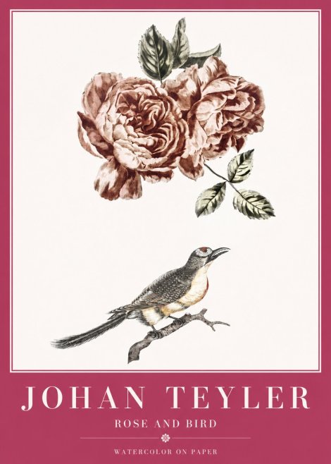 Johan Teyler Rose and Bird II No2 - Juliste