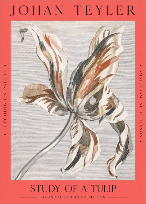 Johan Teyler Study of a Tulip No2 - Juliste