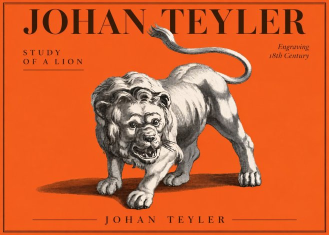 Johan Teyler Study of a Lion No3 - Juliste
