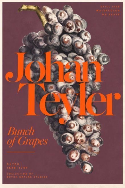 Johan Teyler Bunch of Grapes No3 - Juliste