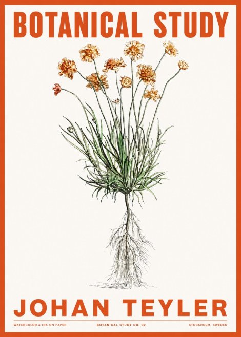 Johan Teyler Botanical Study No. 01 No2 - Juliste