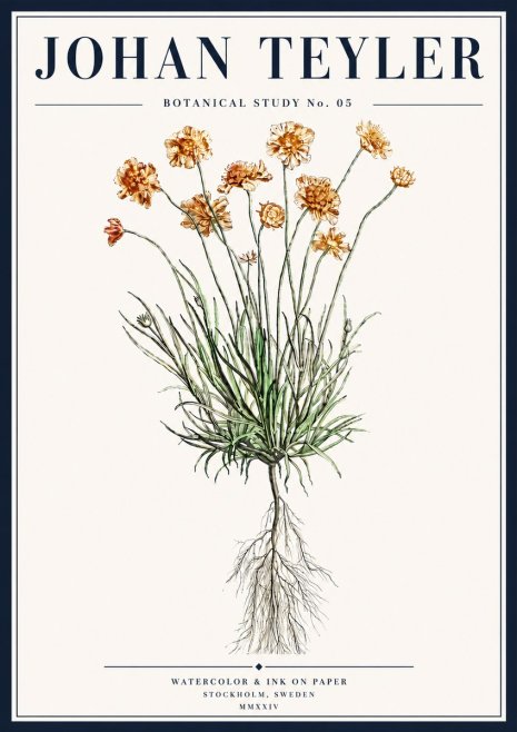 Johan Teyler Botanical Study No. 01 No5 - Juliste