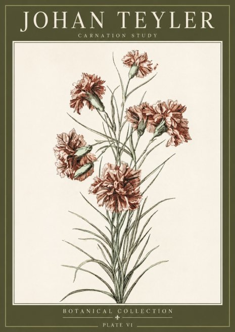 Johan Teyler Carnation Study No3 - Juliste