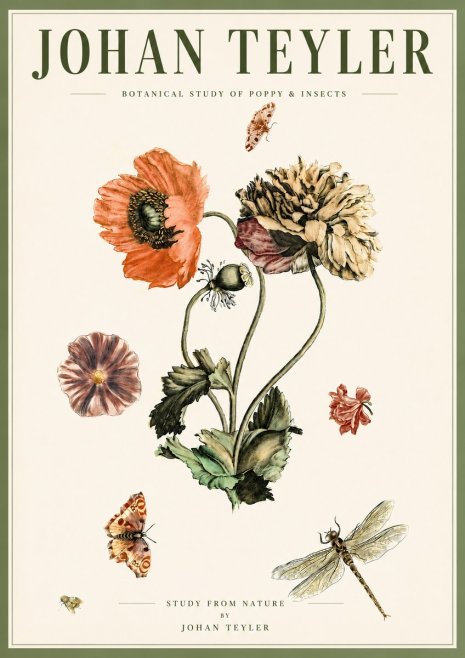 Johan Teyler Botanical Study of Poppy & Insects No5 - Juliste