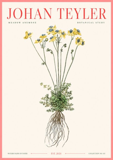 Johan Teyler Meadow Anemone No3 - Juliste