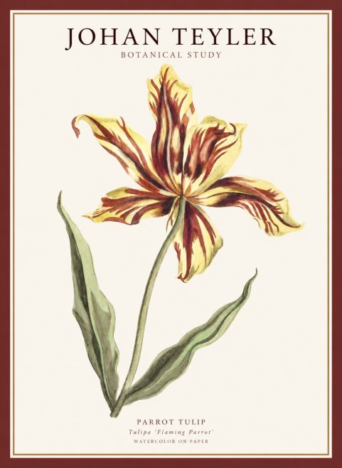 Johan Teyler Floral Study I No5 - Juliste