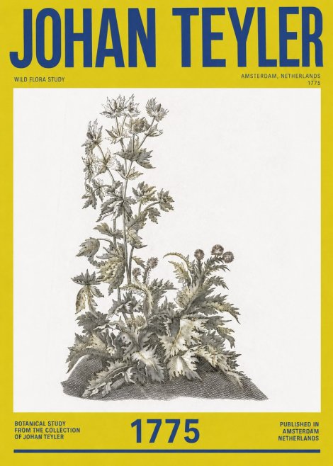 Johan Teyler Wild Flora Study No2 - Juliste