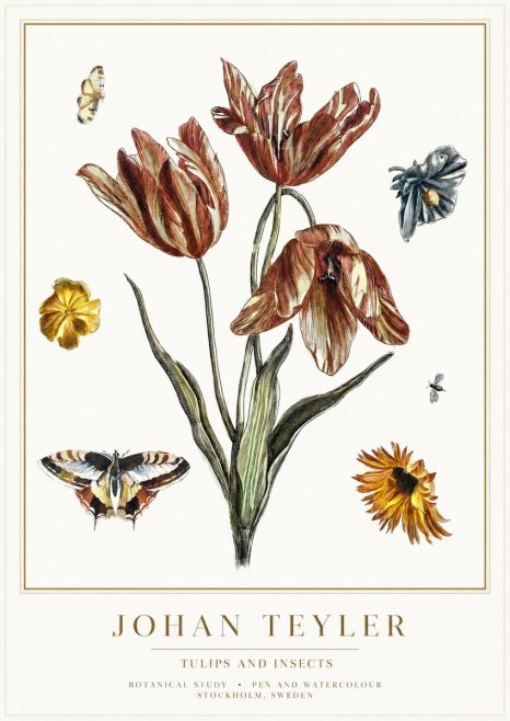 Johan Teyler Tulips and Insects No1 - Juliste