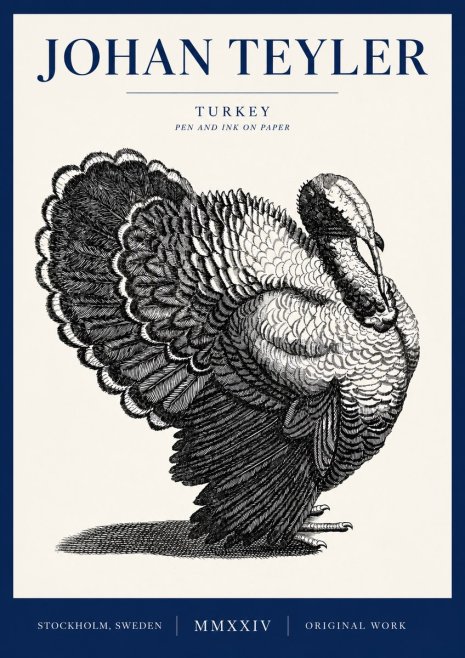 Johan Teyler Turkey No4 - Juliste