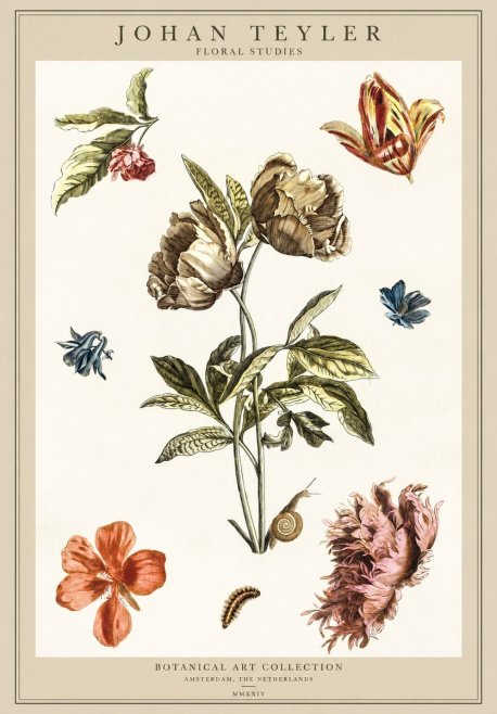 Johan Teyler Floral Studies No1 - Juliste