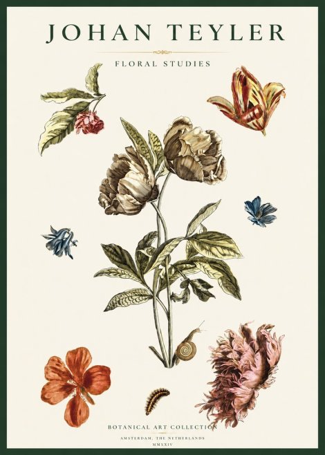 Johan Teyler Floral Studies No2 - Juliste