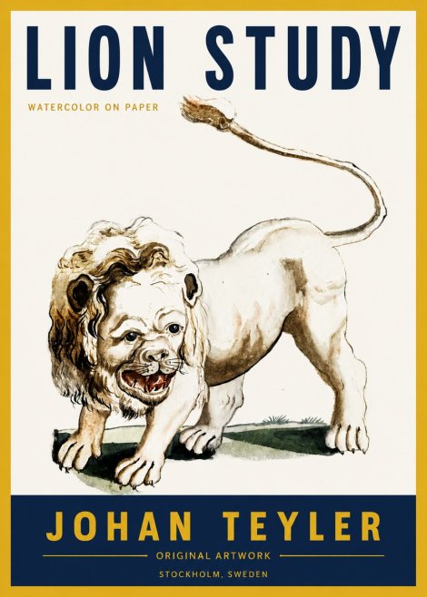 Johan Teyler Lion Study No4 - Juliste